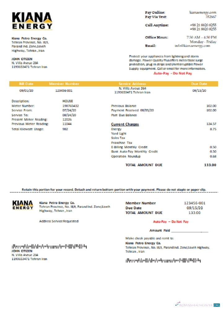 download download Iran Kiana Petro Energy Co utility bill